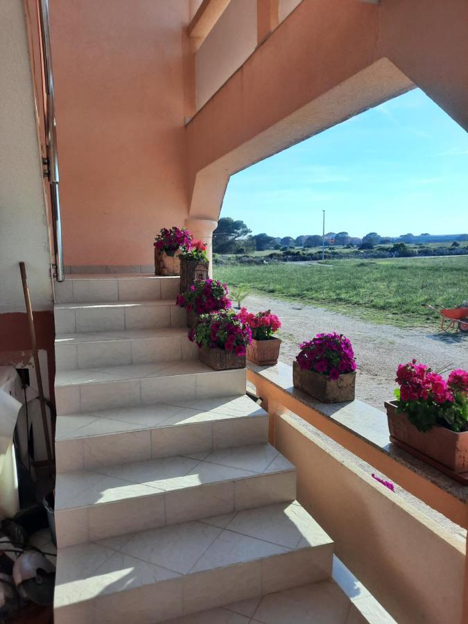 Penzion U Kapitana Apartment Вир Екстериор снимка